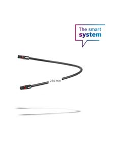 CABLE DE DISPLAY DE 250 MM (BCH3611_250)