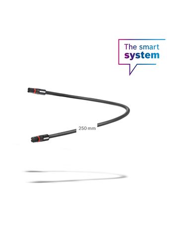 CABLE DE DISPLAY DE 250 MM (BCH3611_250)